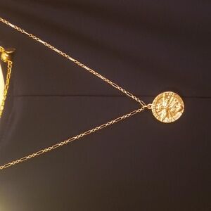 Alexa Rae Goldtone necklace.